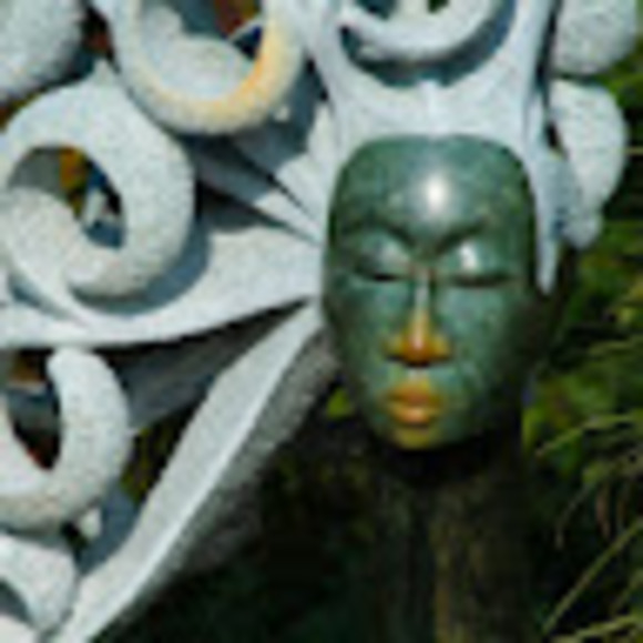 Meet your Posher, Patrick - Picture 1 of 1